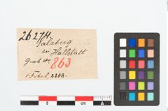Etikett zu Bronzebrillenfibel (NHMW-PRAE-026274)